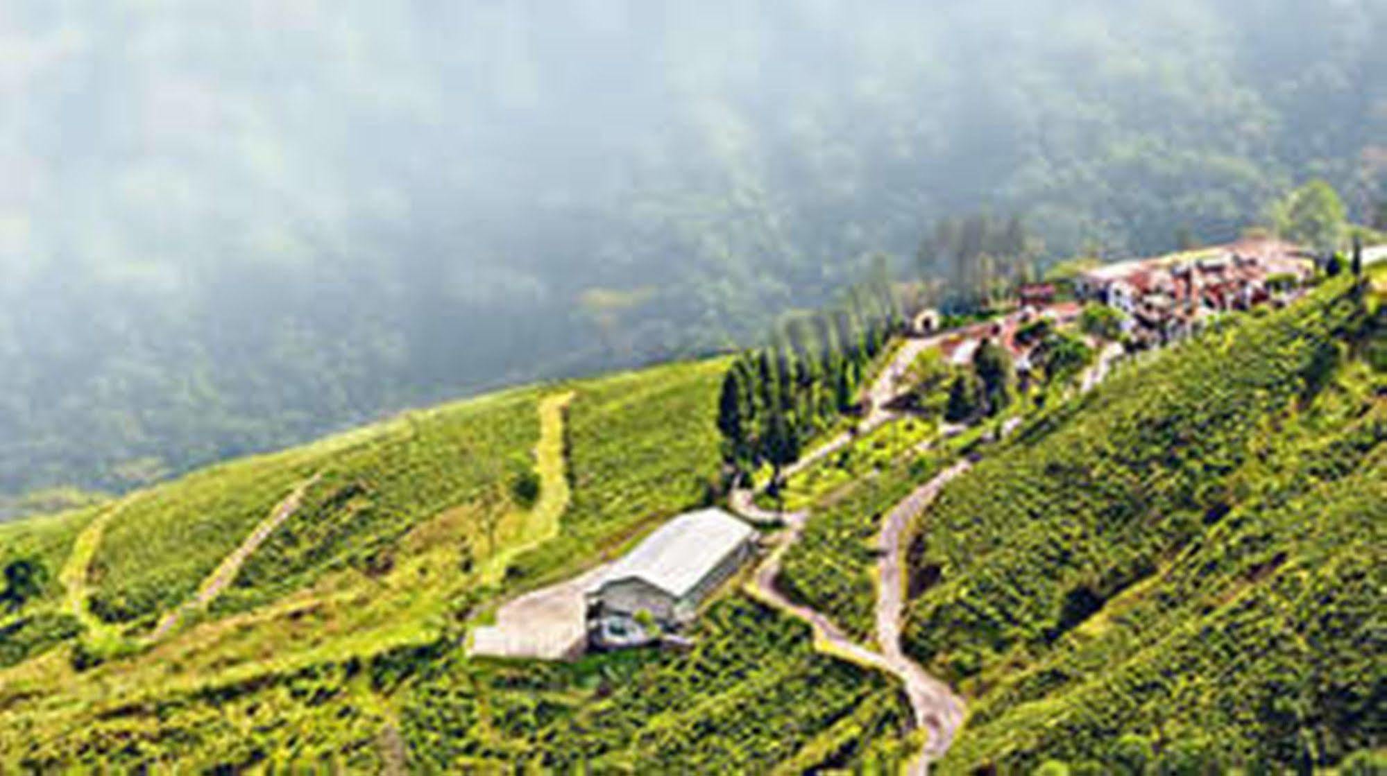 Central Nirvana Darjeeling  Dış mekan fotoğraf